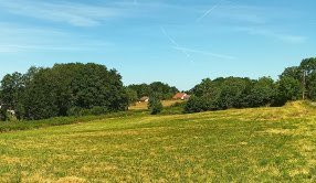 Prairie verte bordée de haies et de bosquets sous un ciel bleu